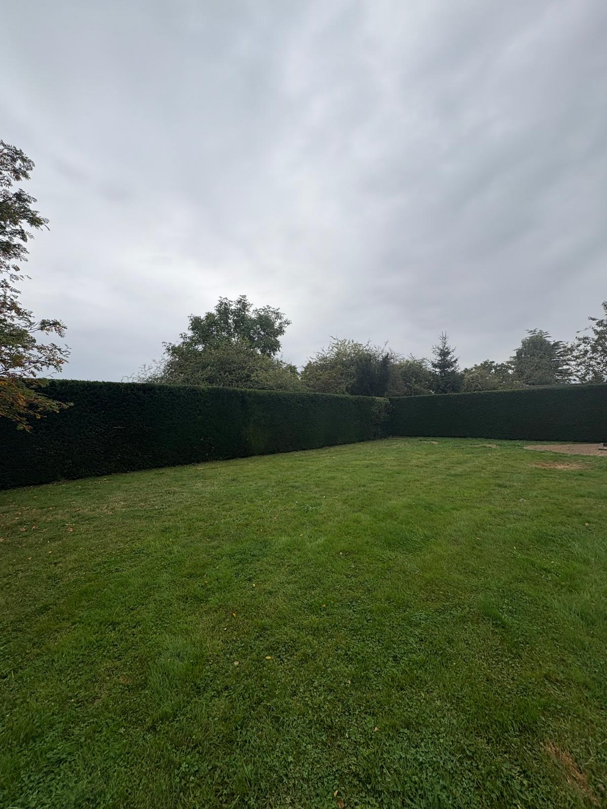 Pelouse tondue — jardin propre